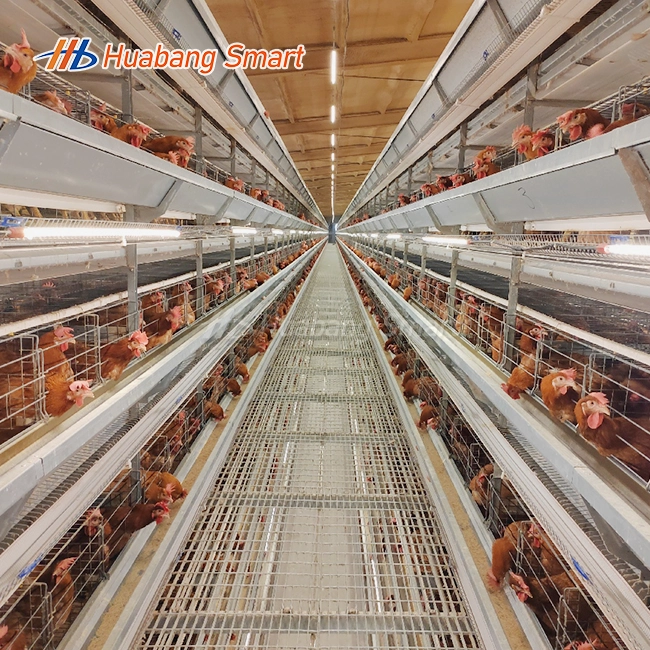 Chicken Cage For Layers Poultry Farming